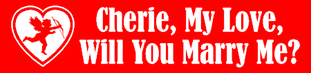 Marry My Love Banner