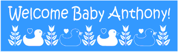 A Ducky Welcome Home New Baby Banner