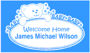 Teddy Bear Welcome Home New Baby Banner