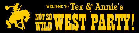 Not So Wild West Party Banner