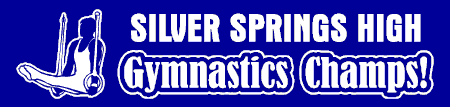 Men's/Boy's Gymnastics Champs Banner