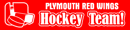 Hockey Team Banner